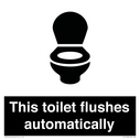 this-toilet-flushes-automatically~